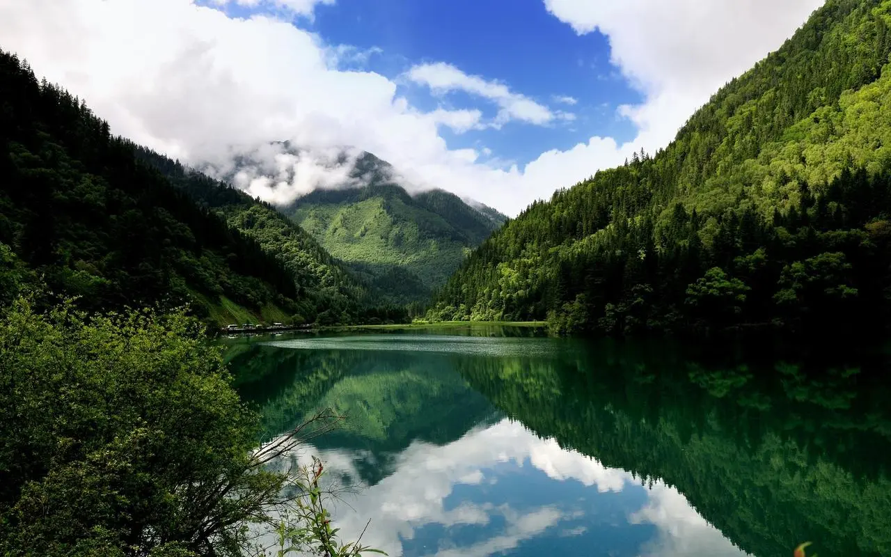 高性能高性能